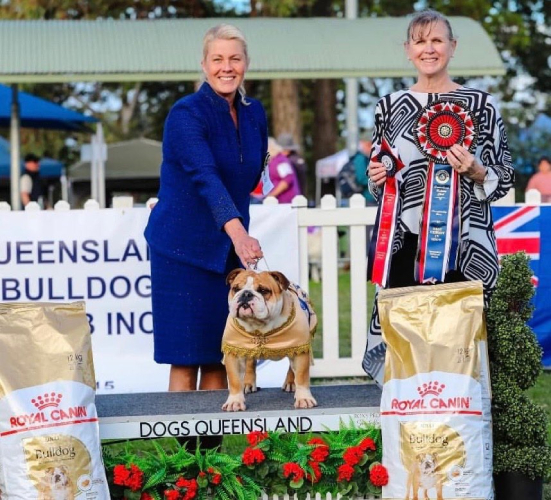 CH.PIPERSGLEN BLUE STEEL