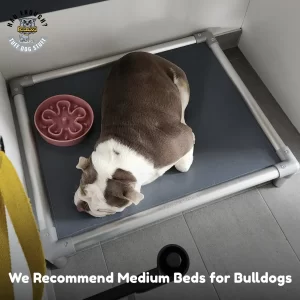 Chewproof Dog Beds